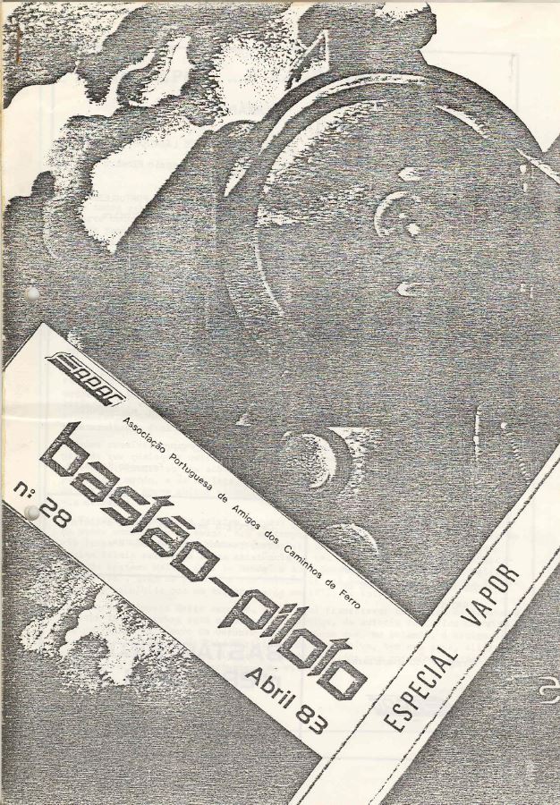 Bastão Piloto 028