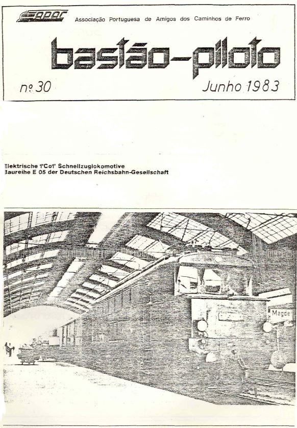 Bastão Piloto 030