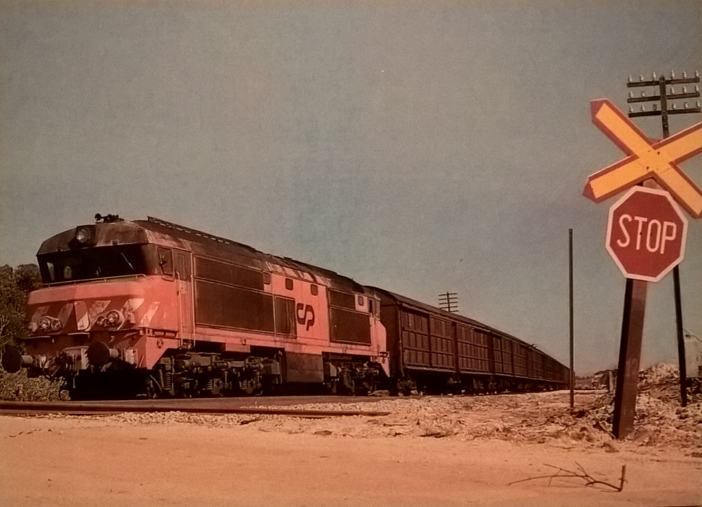 CP 1900 - Mercadorias